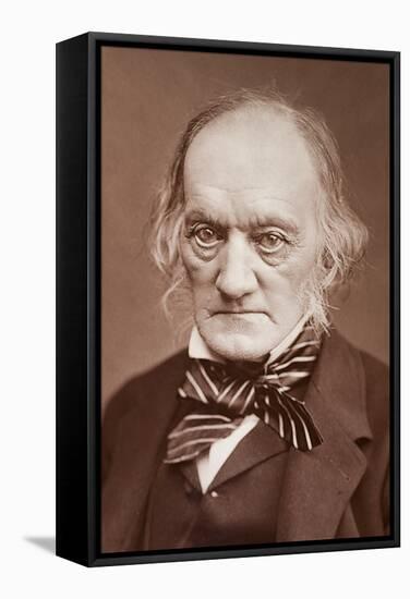 1878 Sir Richard Owen Photograph Portrait-Paul Stewart-Framed Stretched Canvas