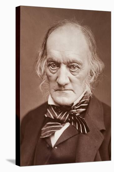 1878 Sir Richard Owen Photograph Portrait-Paul Stewart-Stretched Canvas