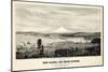 1878, Tacoma and Mount Rainier Bird's Eye View, Washington, United States-null-Mounted Giclee Print