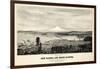 1878, Tacoma and Mount Rainier Bird's Eye View, Washington, United States-null-Framed Giclee Print