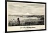 1878, Tacoma and Mount Rainier Bird's Eye View, Washington, United States-null-Framed Giclee Print