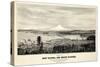 1878, Tacoma and Mount Rainier Bird's Eye View, Washington, United States-null-Stretched Canvas