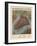 1879, New York City 1879 Bird's Eye View, New York, United States-null-Framed Giclee Print