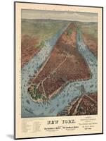 1879, New York City 1879 Bird's Eye View, New York, United States-null-Mounted Giclee Print