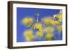 187-Incredi-Framed Giclee Print