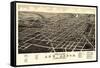 1880, Ann Arbor Bird's Eye View, Michigan, United States-null-Framed Stretched Canvas