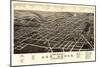 1880, Ann Arbor Bird's Eye View, Michigan, United States-null-Mounted Giclee Print