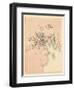 1881, Blue Hill Village, Maine, United States-null-Framed Giclee Print