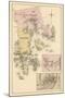 1881, Jonesboro, Jonesport, Indian River Village, Whitneyville Village, Maine, United States-null-Mounted Giclee Print