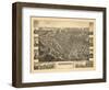 1881, Little Falls Bird's Eye View, New York, United States-null-Framed Giclee Print