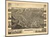 1881, Little Falls Bird's Eye View, New York, United States-null-Mounted Giclee Print