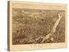 1881, Troy 1881 Bird's Eye View 23x39, New York, United States-null-Stretched Canvas