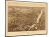 1881, Troy 1881 Bird's Eye View 23x39, New York, United States-null-Mounted Giclee Print