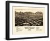 1882, Buena Vista Bird's Eye View, Colorado, United States-null-Framed Giclee Print