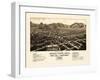 1882, Buena Vista Bird's Eye View, Colorado, United States-null-Framed Giclee Print