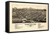 1882, Canon City Bird's Eye View, Colorado, United States-null-Framed Stretched Canvas