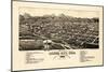 1882, Canon City Bird's Eye View, Colorado, United States-null-Mounted Premium Giclee Print
