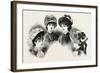 1882 Fashionable Hats, Fashion-null-Framed Giclee Print
