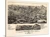 1882, Trinidad Bird's Eye View, Colorado, United States-null-Stretched Canvas