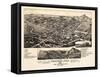 1882, Trinidad Bird's Eye View, Colorado, United States-null-Framed Stretched Canvas