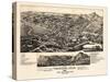 1882, Trinidad Bird's Eye View, Colorado, United States-null-Stretched Canvas