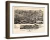 1882, Trinidad Bird's Eye View, Colorado, United States-null-Framed Giclee Print