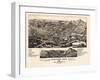 1882, Trinidad Bird's Eye View, Colorado, United States-null-Framed Giclee Print