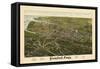 1883, Stamford Bird's Eye View, Connecticut, United States-null-Framed Stretched Canvas