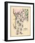 1884, Boothbay, Maine, United States-null-Framed Giclee Print
