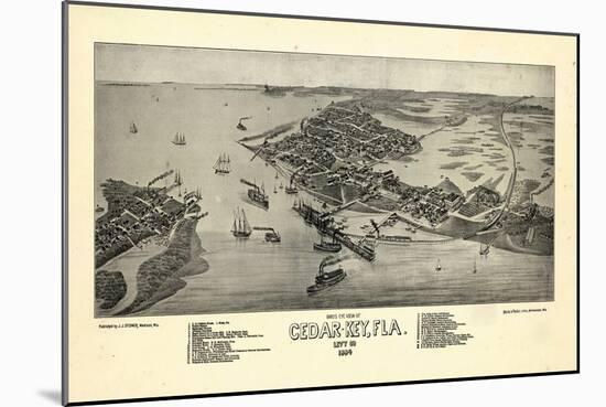 1884, Cedar Key Bird's Eye View, Florida, United States-null-Mounted Giclee Print