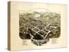 1884, Lyndonville Bird's Eye View, Vermont, United States-null-Stretched Canvas