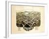 1884, Lyndonville Bird's Eye View, Vermont, United States-null-Framed Giclee Print