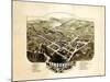 1884, Lyndonville Bird's Eye View, Vermont, United States-null-Mounted Giclee Print