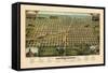 1884, Mattoon Bird's Eye View, Illinois, United States-null-Framed Stretched Canvas