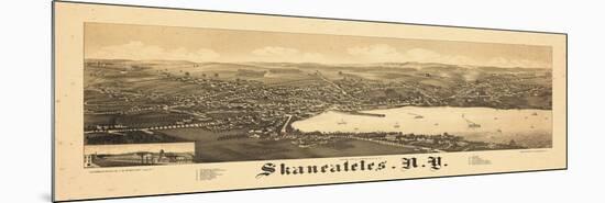 1884, Skaneateles 1884 Bird's Eye View, New York, United States-null-Mounted Premium Giclee Print