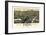 1884, St. Johnsbury Bird's Eye View, Vermont, United States-null-Framed Giclee Print