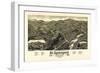 1884, St. Johnsbury Bird's Eye View, Vermont, United States-null-Framed Giclee Print