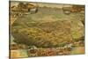 1885 Bird's Eye View of Phoenix, Arizona-null-Stretched Canvas