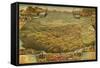 1885 Bird's Eye View of Phoenix, Arizona-null-Framed Stretched Canvas