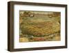 1885 Bird's Eye View of Phoenix, Arizona-null-Framed Photo