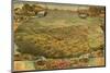 1885 Bird's Eye View of Phoenix, Arizona-null-Mounted Photo