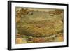 1885 Bird's Eye View of Phoenix, Arizona-null-Framed Photo