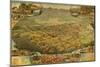 1885 Bird's Eye View of Phoenix, Arizona-null-Mounted Photo