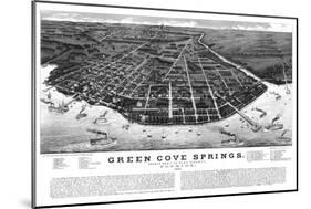 1885, Green Cove Springs Bird's Eye View, Florida, United States-null-Mounted Giclee Print