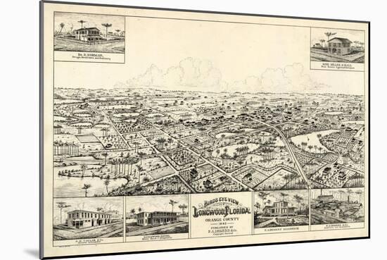 1885, Longwood Bird's Eye View, Florida, United States-null-Mounted Giclee Print