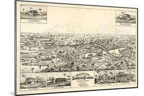 1885, Longwood Bird's Eye View, Florida, United States-null-Mounted Giclee Print