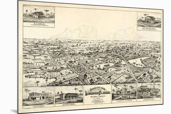 1885, Longwood Bird's Eye View, Florida, United States-null-Mounted Giclee Print