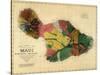 1885, Maui Island Map, Hawaii, United States-null-Stretched Canvas
