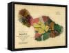 1885, Maui Island Map, Hawaii, United States-null-Framed Stretched Canvas