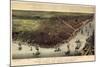 1885, New Orleans Bird's Eye View, Louisiana, United States-null-Mounted Giclee Print